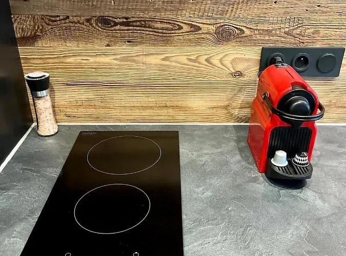 Apartment Le Nid De L'aiguille - Au Pied De L'aiguille Du Midi