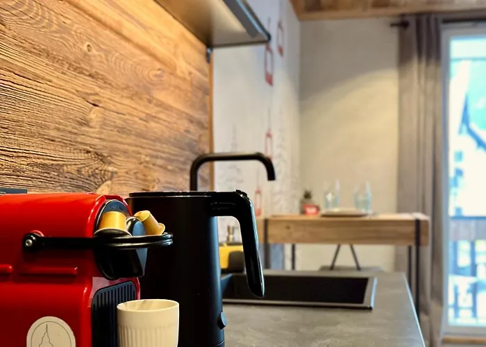 Le Nid De L'aiguille - Au Pied De L'aiguille Du Midi Chamonix